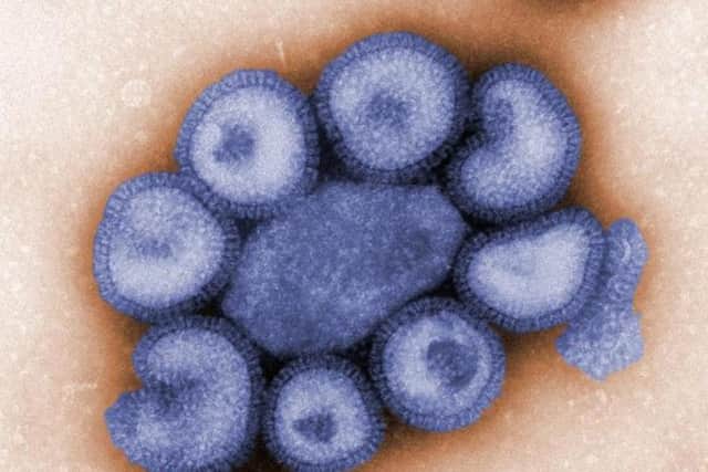 Swin flu vaccination warning