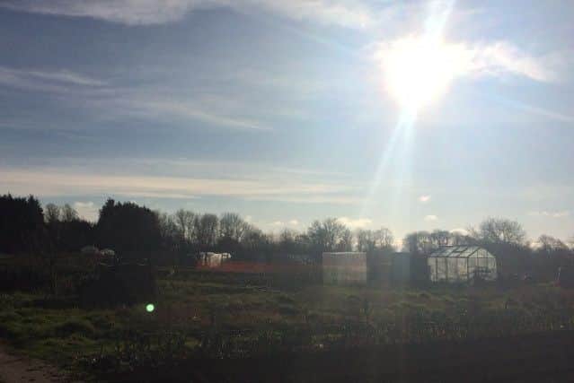 A number of allotments have become available to rent in Spilsby. ANL-160302-172001001