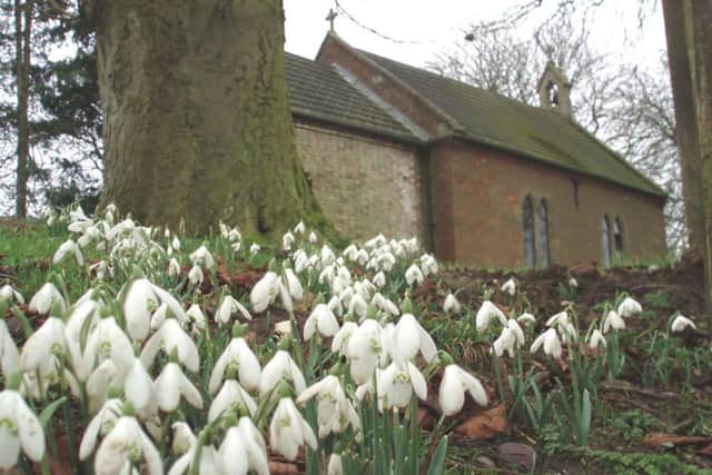 Snowdrops at Gayton le Wold EMN-160902-141415001