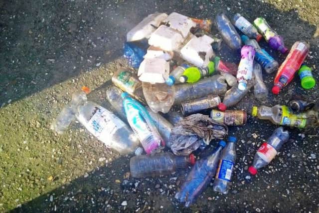 The litter collected in Horncastle EMN-161202-152904001