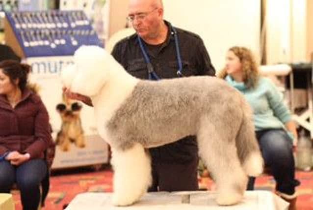 Adrian Long with his Old English Sheepdog, Lexi, at the recent competition.