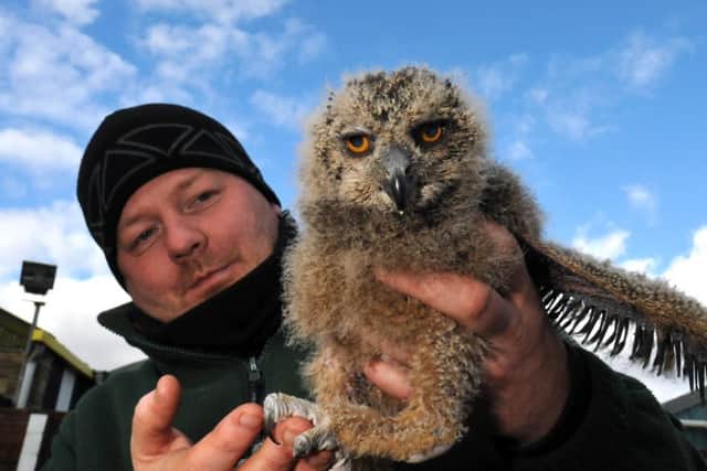Manager Mark Birdsall with a four-week-old Indian owl. SG250216-137TW