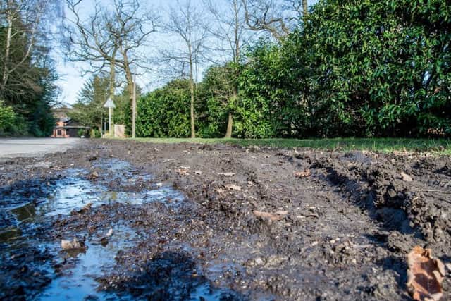The verges in Woodhall Spa EMN-160229-154128001