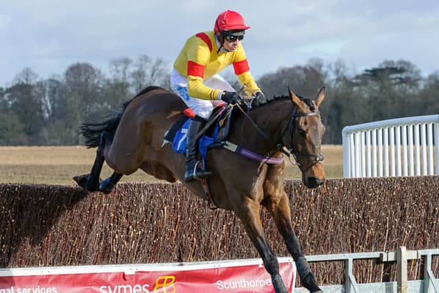 Tom Strawson and Somethingwonderful at Brocklesby in February. Photo Nico Morgan EMN-160103-073131001