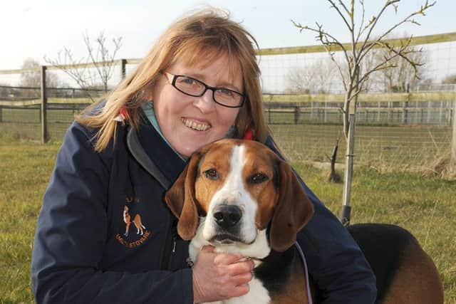 Angela Leigh, of Great Steeping, and her rescue dog Roland - who won Best in Breed at this year's Crufts.