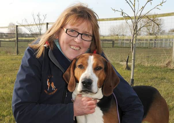 Angela Leigh, of Great Steeping, and her rescue dog Roland - who won Best in Breed at this year's Crufts.