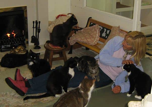 Jain Hills with some of the cats ANL-161003-171113001