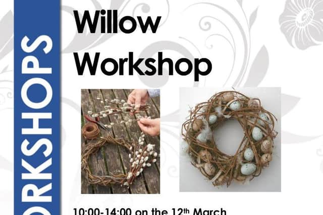 Willow workshop EMN-160603-220439001