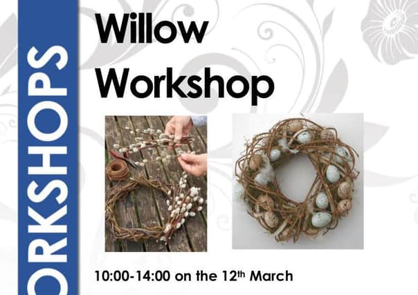 Willow workshop EMN-160603-220439001