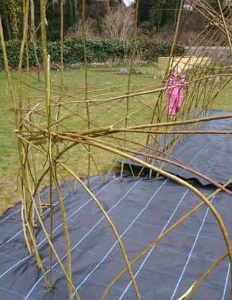 The willow dome at the Kids Patch in Charles Street, Louth, was vandalised earlier this week. D7ariuwvvudEEq5bOwcT