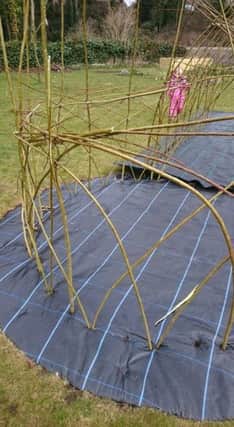 The willow dome at the Kids Patch in Charles Street, Louth, was vandalised earlier this week. D7ariuwvvudEEq5bOwcT