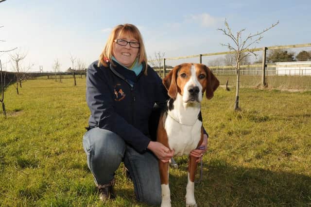 Angela Leigh says Roland is a much-loved 'pet' first and a show dog second.
