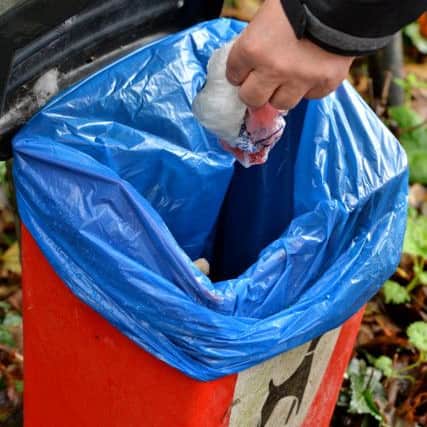 Dog fouling patrols are being called for in Horncastle EMN-141117-101242001