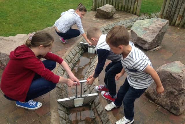 Little Darters at Whisby Natural World Centre. EMN-160323-125003001