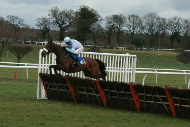 Solomn Grundy, ridden by Noel Fehily, on his way to an easy win in the opening hurdle at Market Rasen. EMN-160329-085532002