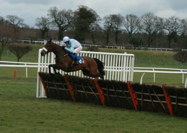 Solomn Grundy, ridden by Noel Fehily, on his way to an easy win in the opening hurdle at Market Rasen. EMN-160329-085532002