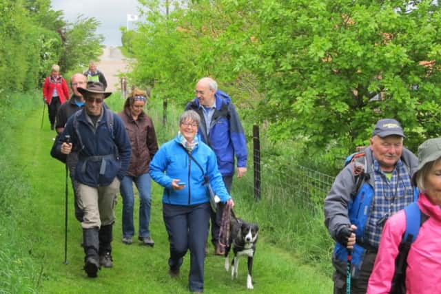 Wolds Walking Festival EMN-160604-074949001