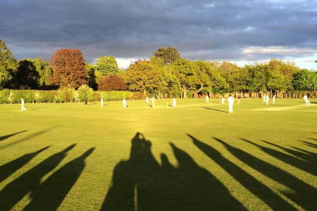 Late evening sunlight at Jubilee Park.