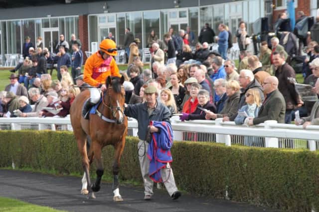 Runners in the parade ring before the third race. EMN-161104-113137002