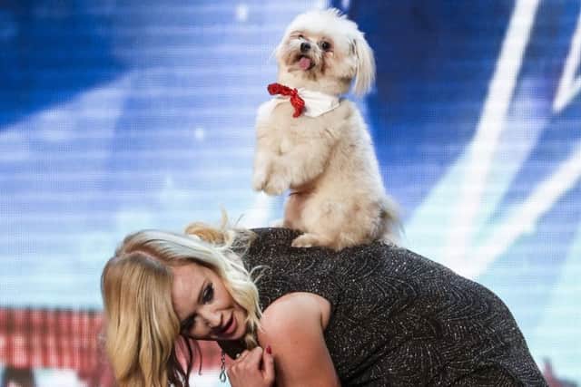 Lucy Heath and Trip in action on stage on Saturday night in Britain's Got Talent. Photo: ITV. EMN-161104-175251001