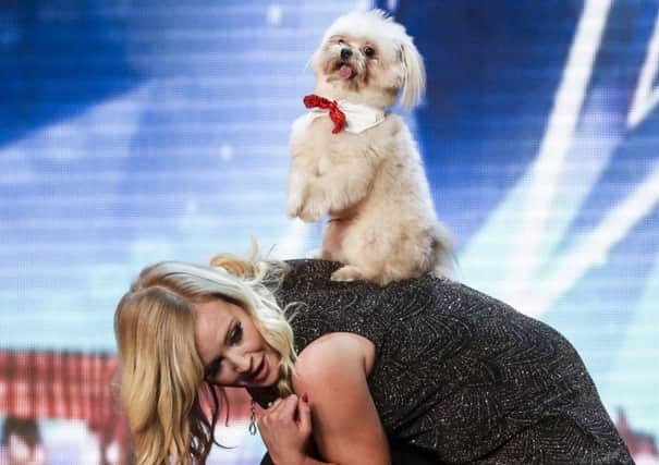 Lucy Heath and Trip in action on stage on Saturday night in Britain's Got Talent. Photo: ITV. EMN-161104-175251001