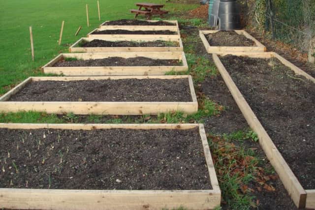 Rasied beds at the garden club already show things sprouting