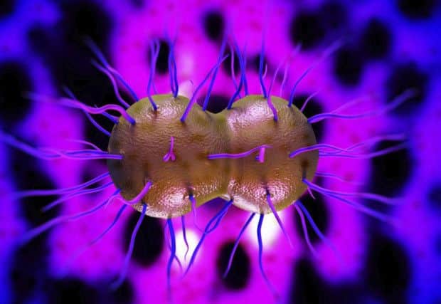 The 'super-gonorrhoea' strain