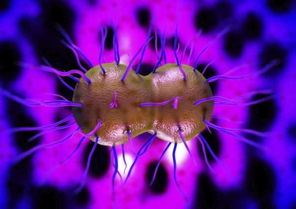 The 'super-gonorrhoea' strain