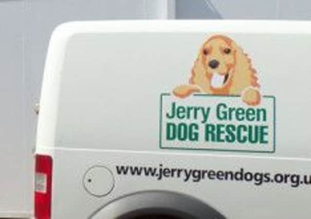 Jerry Green Dog Rescue EMN-160423-081050001