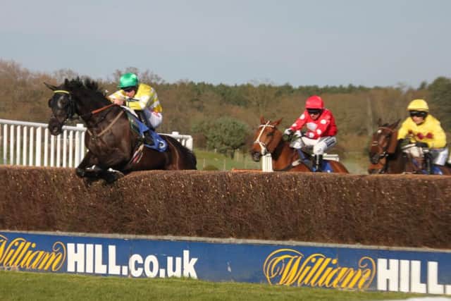 Michael Chapmans Volcanic Jack gets sandwiched between two runners at a jump. EMN-160425-113557002