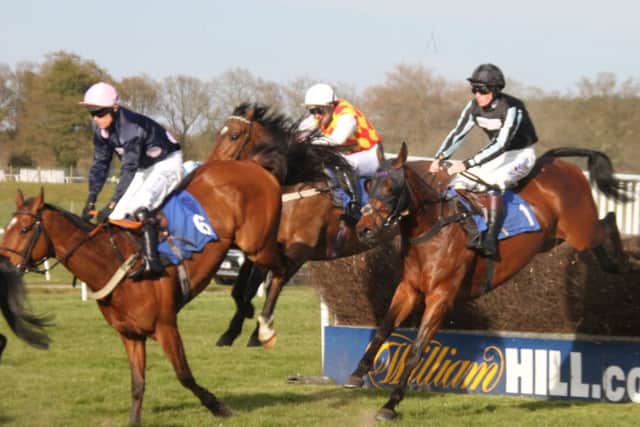Runners take a fence in the Racing Uk Handicap Steeplechase with the winner Lemons Gent in front. EMN-160425-113607002