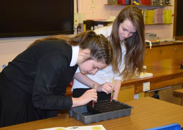 Rocket science at Caistor Yarborough Academy EMN-160426-162819001