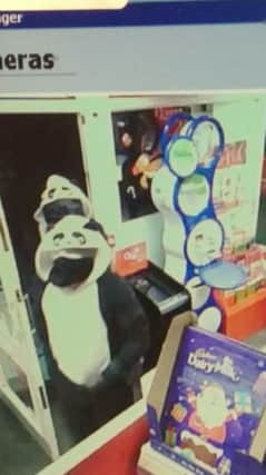 The 'panda robbery' suspects on CCTV.
