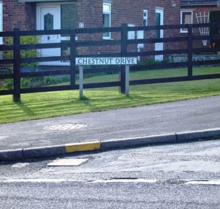 Chestnut Drive