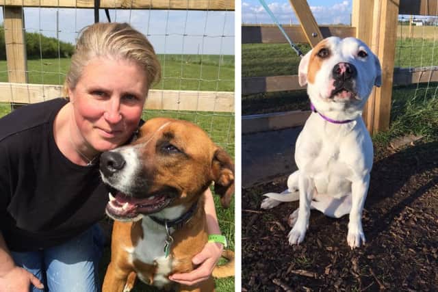 Sarah Gleave with rescue dog 'Top' - and (right) rescue dog Tilly.