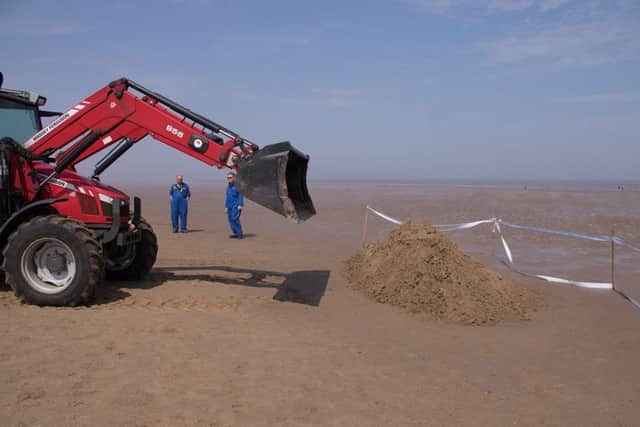 The Whale which washed up on the Mablethorpe coastline