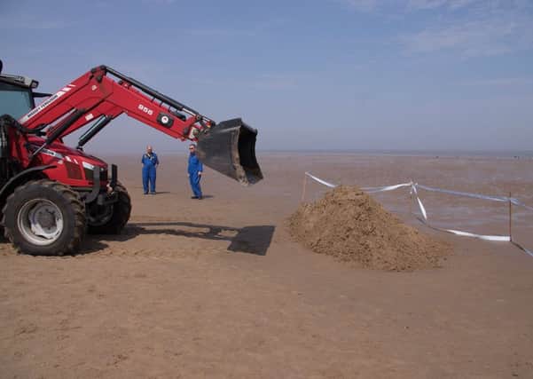 The Whale which washed up on the Mablethorpe coastline