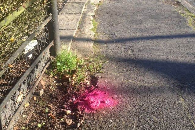 In Horncastle, dog mess was spray painted pink EMN-160513-091800001