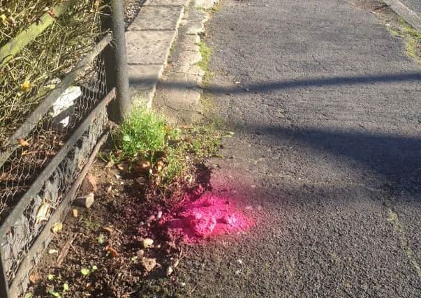 In Horncastle, dog mess was spray painted pink EMN-160513-091800001
