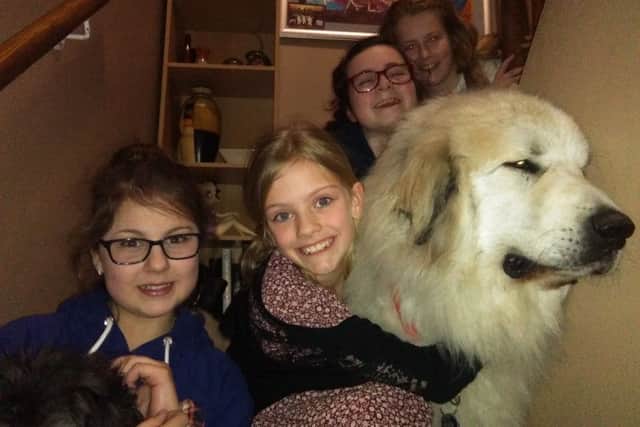 Monty the Pyrenean with some of his friends in Skegness. ANL-161005-161929001