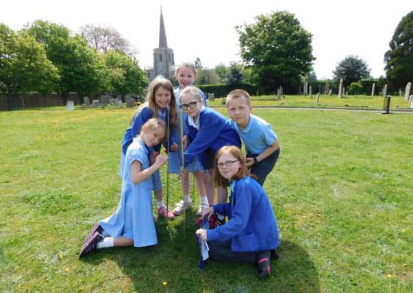 Ancaster School pupils caging a Tall Thrift plant in the cemetery. from left - Rosie Lawson, 9, Mischa Foster, 9, Niamh Morgan, 8, Keeley Creasey, 9, Gustas Kivinskas, 9, and Laura Franklin. EMN-160516-150719001