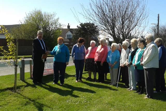 The cherry blossom tree-planting outside the village hall in Chapel st Leonards