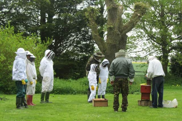 Wildlife Watch Bees and Beekeeping Day at New York EMN-160518-140901001