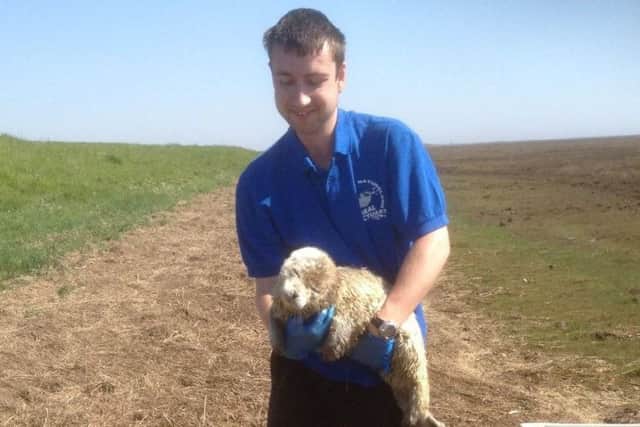 Curtis Jones from Natureland's seal rescue team with the pup