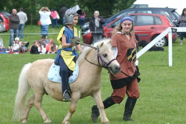 Entertainment in the display area of the Northcote Heavy Horse Centre.