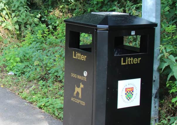 Dog waste is accepted in SKDC litter bins. EMN-160520-175421001