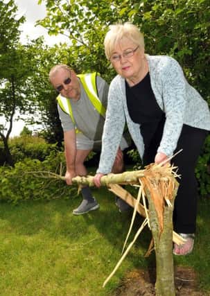 Voluntary community park warden Steve Pulfrey and Gill Lunn of IDEA with a damaged tree at Flinders Park, Donington.  Photo by Tim Wilson.