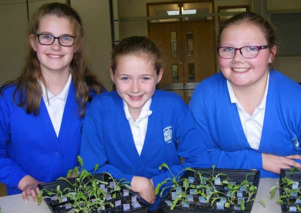 Gardeners from outer space. From left, St Botolphs School year six students Rhianna, Erin and Charlotte with astronaut Tim Peakes rocket seeds.