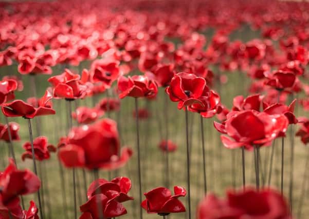 Lincoln Castle is to host the Poppy Wave.