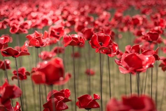 Lincoln Castle is to host the Poppy Wave.